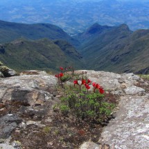 On the summit of Pico do Calcado